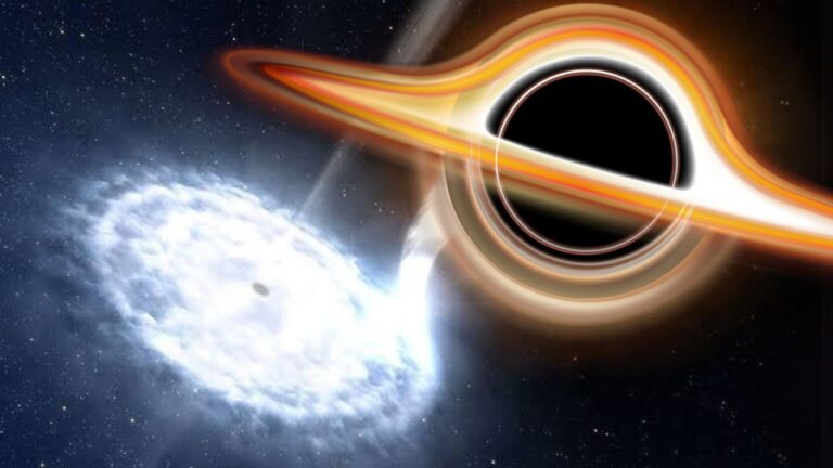 what if a magnetar collided with a black hole?